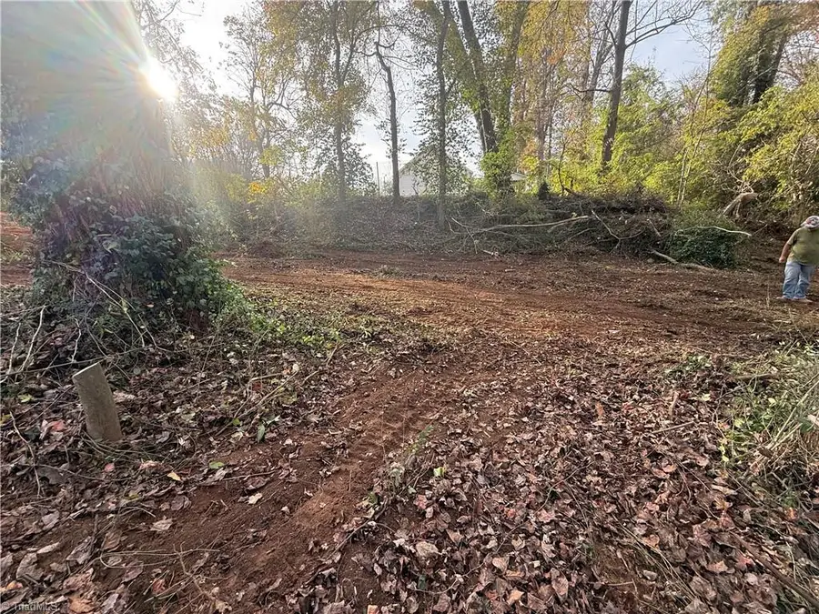 0 Lodge Street, Winston Salem, NC 27105 - Image #3