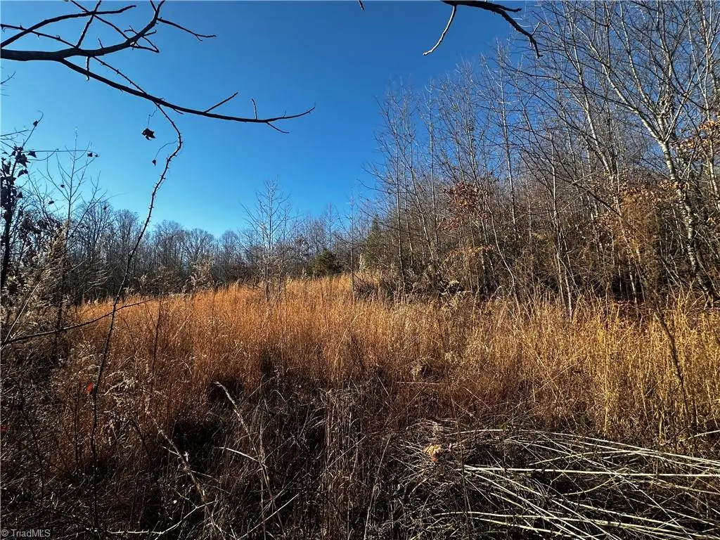 tbd S Nc Highway 16, Wilkesboro, NC 28697 - Image #1