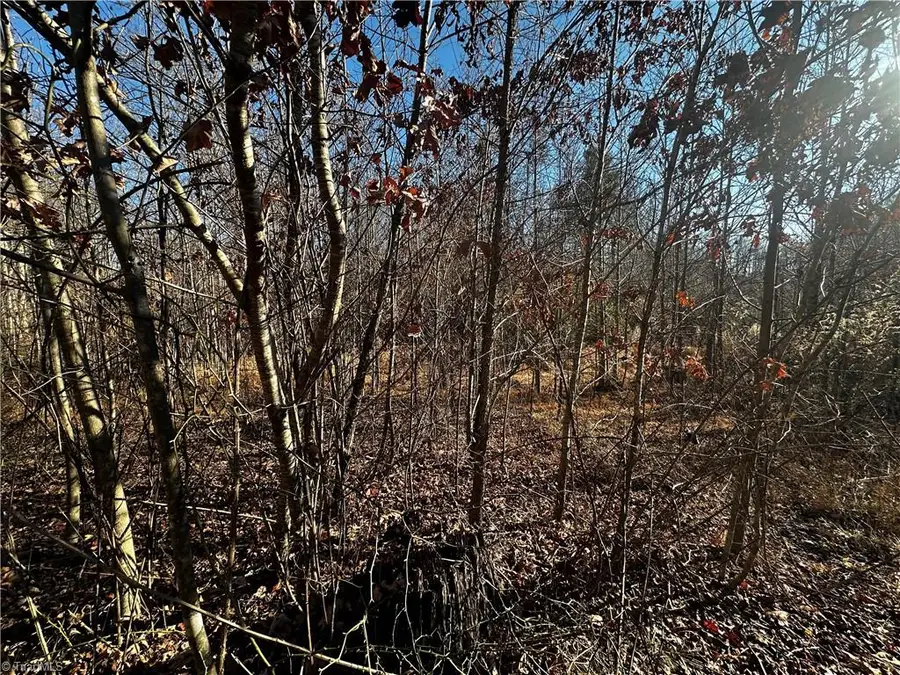 tbd S Nc Highway 16, Wilkesboro, NC 28697 - Image #3