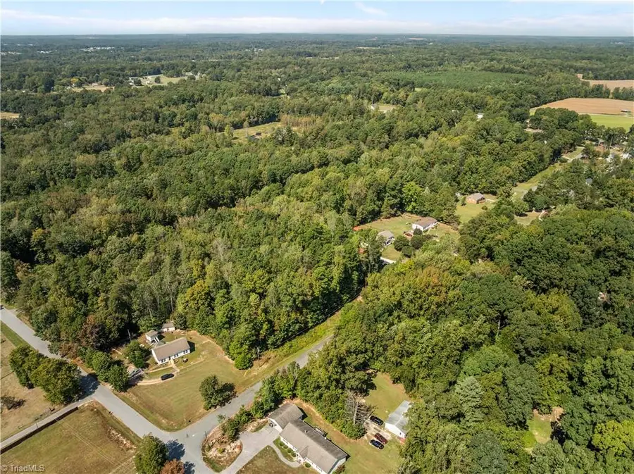 308 Martingale Drive, Gibsonville, NC 27249 - Image #3