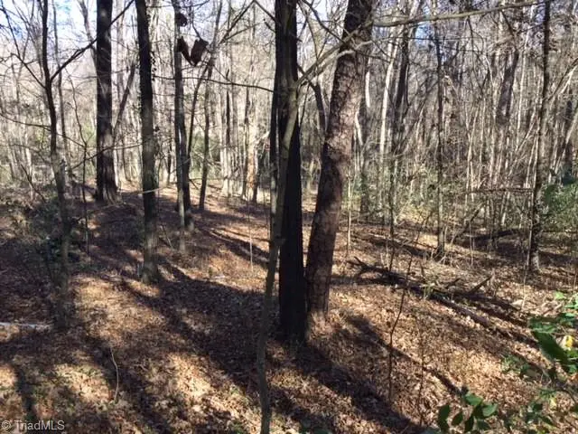 0 Gant Road, Graham, NC 27253 - Image #2