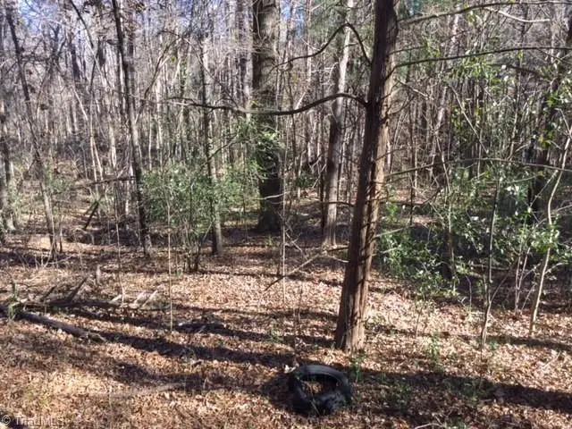 0 Gant Road, Graham, NC 27253 - Image #3