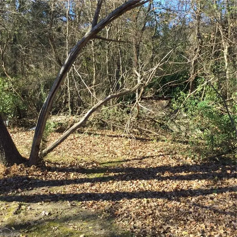 00 Gant Road, Graham, NC 27253 - Image #3