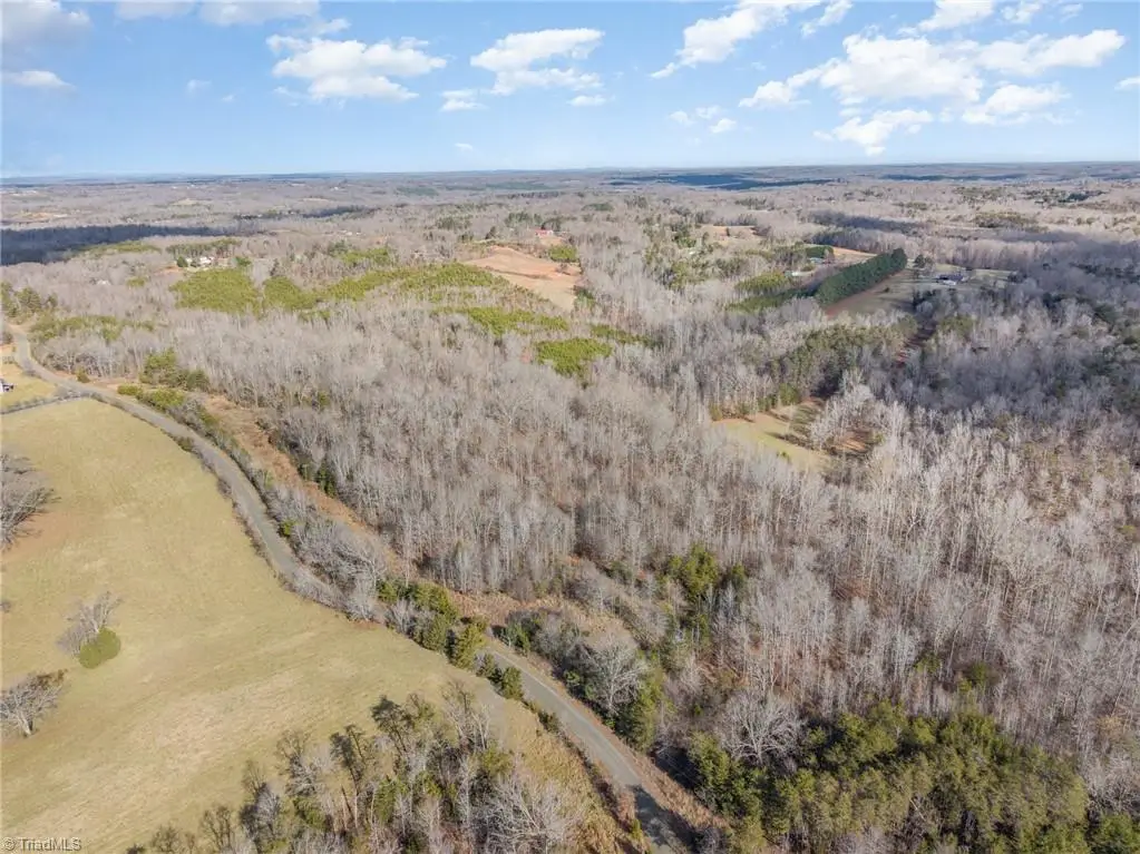 00 Chapmon Road, Reidsville, NC 27320 - Image #1