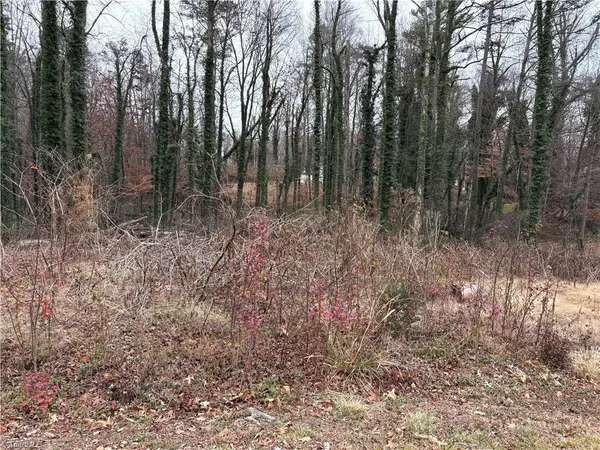 0 Chesapeake Drive, Rural Hall, NC 27054