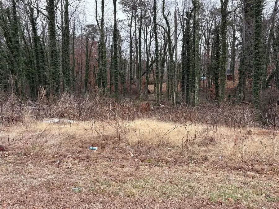 0 Chesapeake Drive, Bethania Township, NC 27054 - Image #2