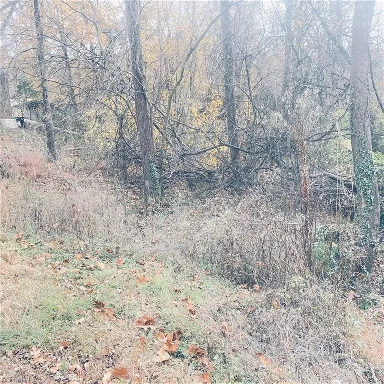 0 First Street, Eden, NC 27288 - Image #1