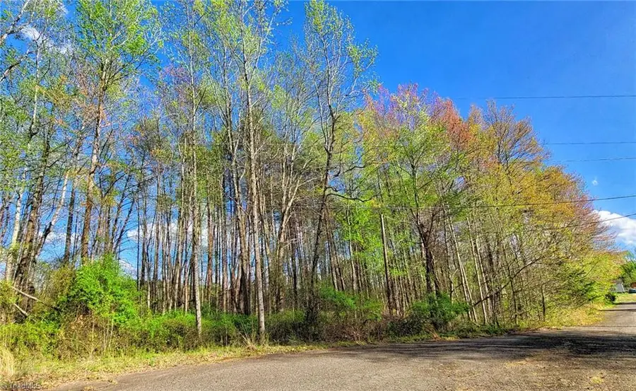 5091 Donna Marie Court, Walkertown, NC 27051 - Image #2