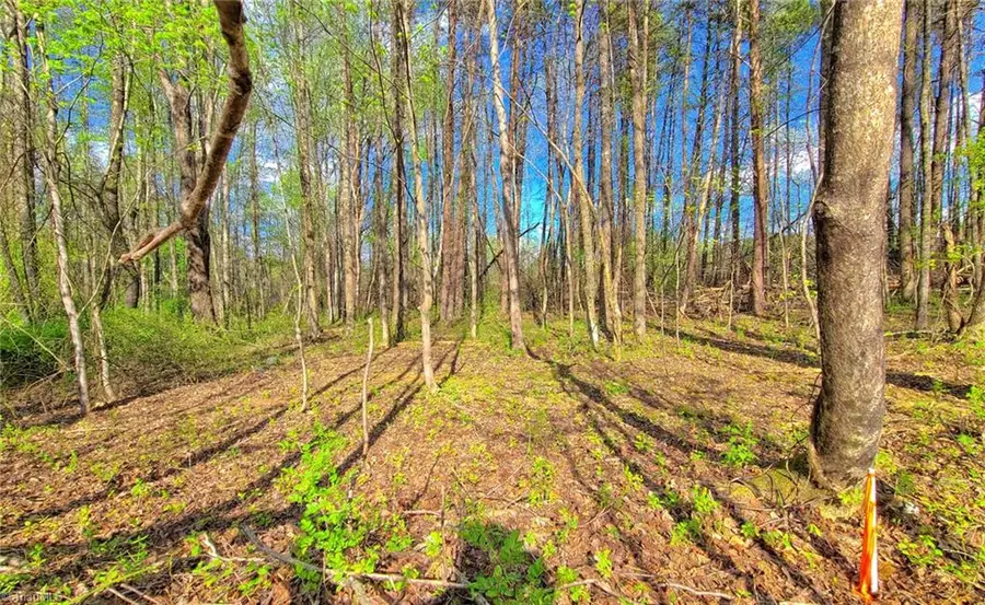 5091 Donna Marie Court, Walkertown, NC 27051 - Image #3