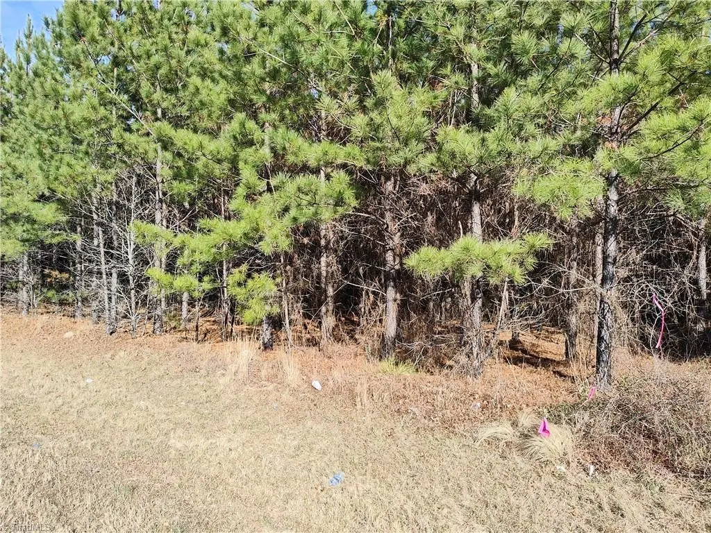 Lot 9 Windblow Road, Jackson Springs, NC 27281 - Image #1