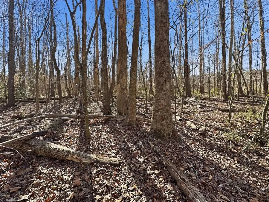 0 Peace Haven Road, Winston Salem, NC 27104 - Image #2