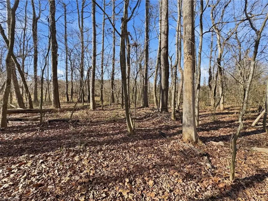 0 Peace Haven Road, Winston Salem, NC 27104 - Image #3