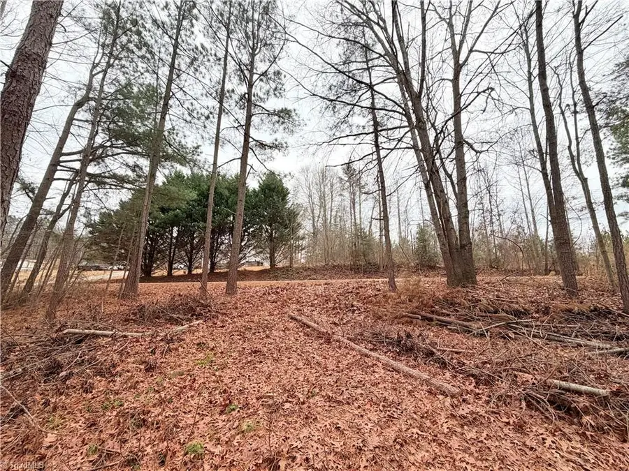 TBD Shumate Mountain Road, Hays, NC 28635 - Image #2