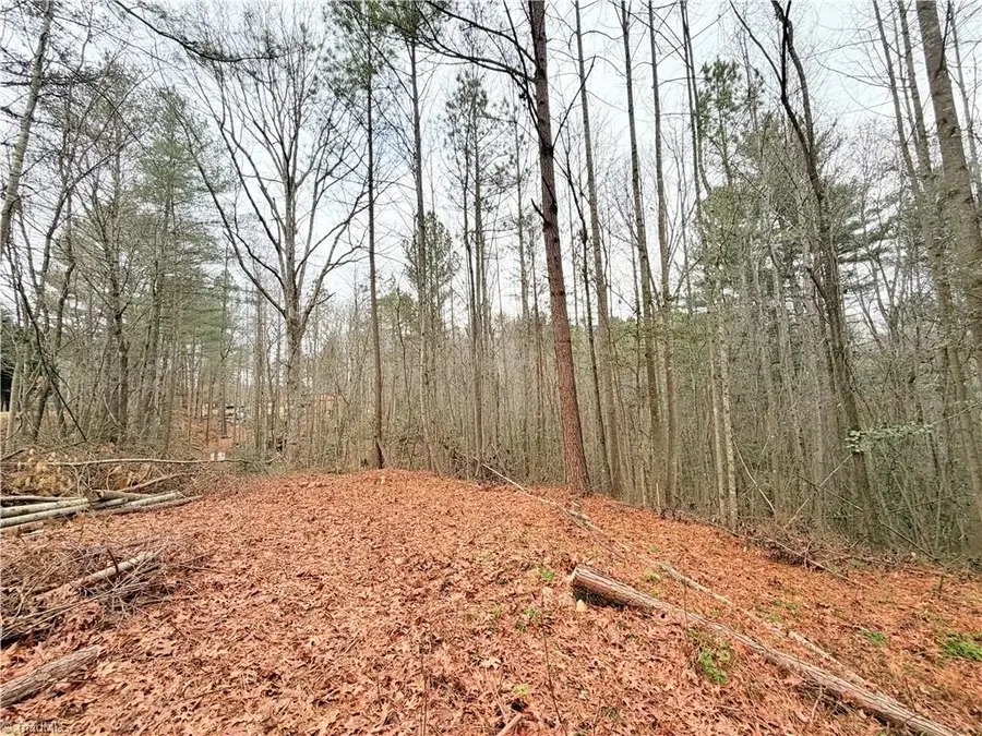 TBD Shumate Mountain Road, Hays, NC 28635 - Image #3