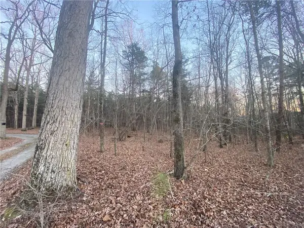 4707 Jaylee Place, Julian, NC 27283