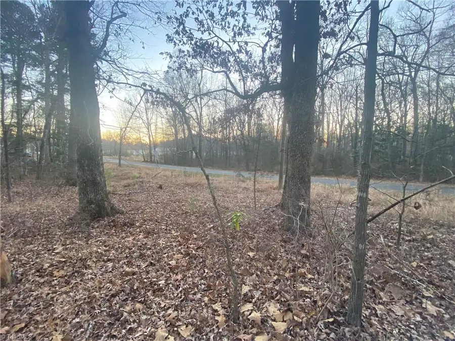 4707 Jaylee Place, Julian, NC 27283 - Image #2