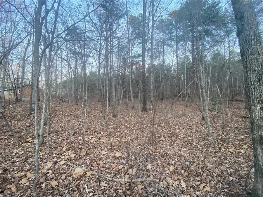 4707 Jaylee Place, Julian, NC 27283 - Image #3