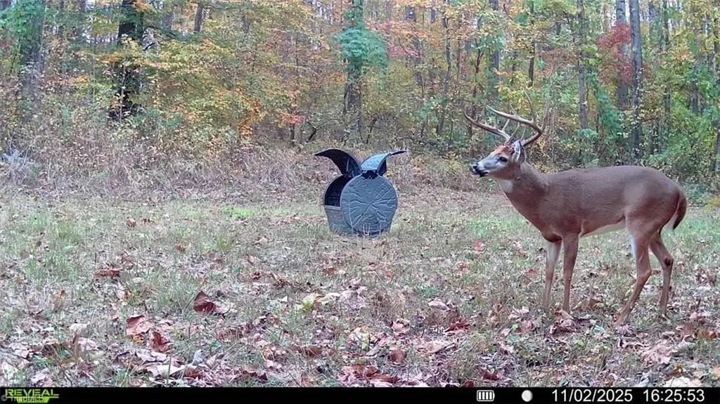 00 Turner Drive, Reidsville, NC 27320 - Image #1