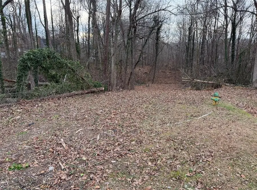 0 Hilton Drive, Winston Salem, NC 27127 - Image #2