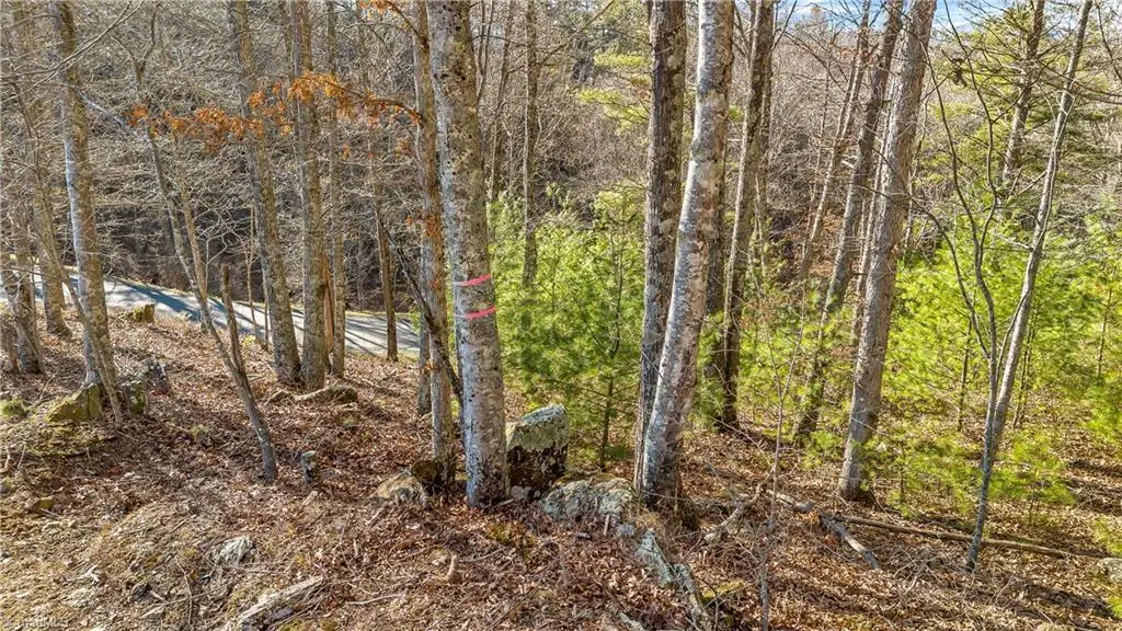 TBD River Stone Drive, Laurel Springs, NC 28644 - Image #1