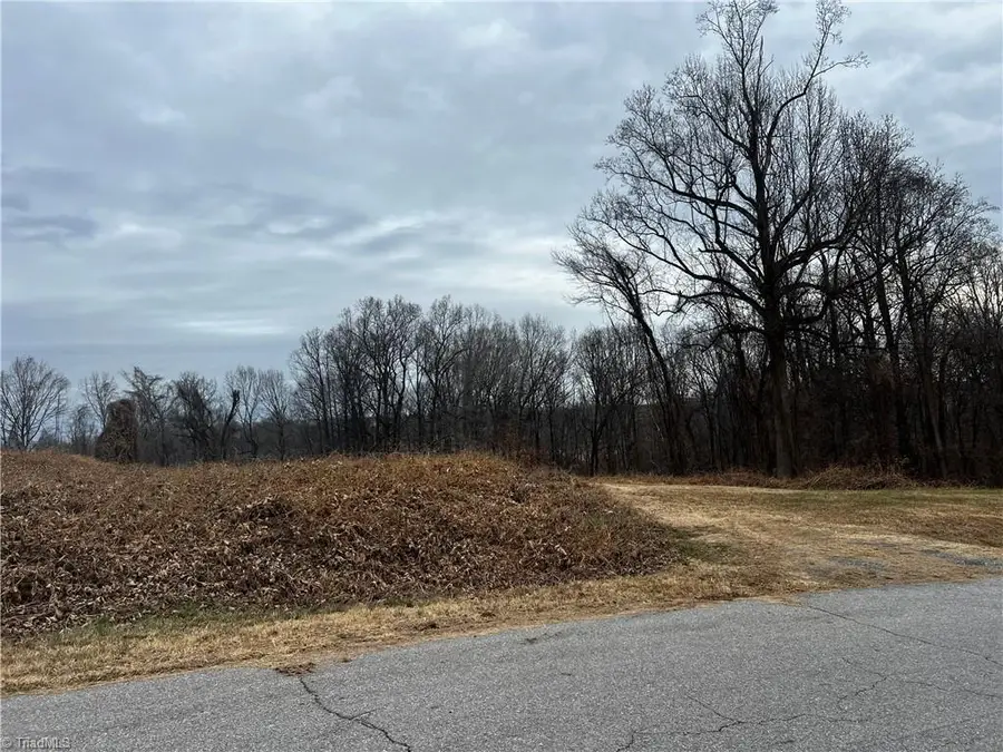 0 Willow Street, Reidsville, NC 27320 - Image #3