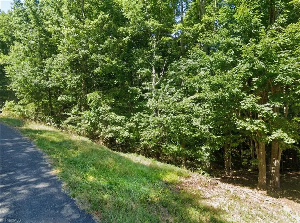 Lot 21 Harvest Circle, Asheboro, NC 27203 - Image #1