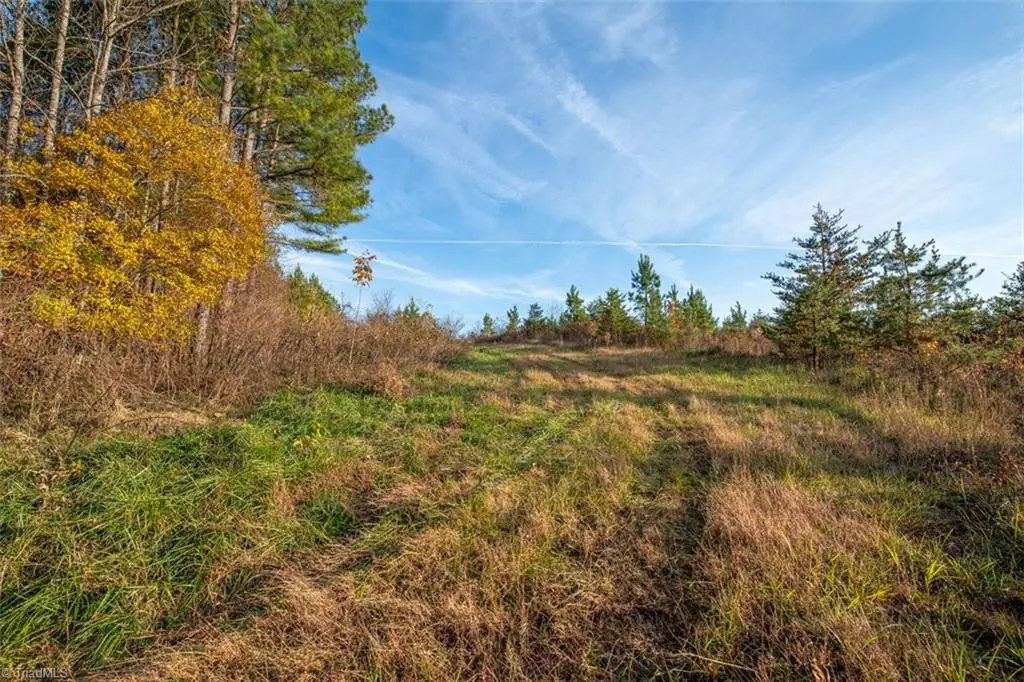 00 Lady Mary Road, Stoneville, NC 27048 - Image #1