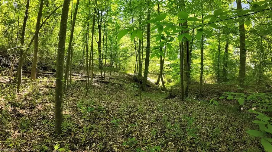 TBD Factory Street, Ronda, NC 28670 - Image #3