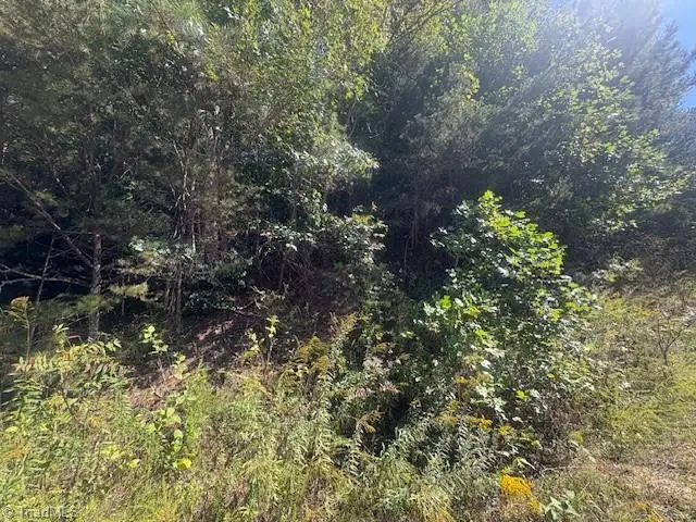 00 Parsonsville Road, Purlear, NC 28665 - Image #3