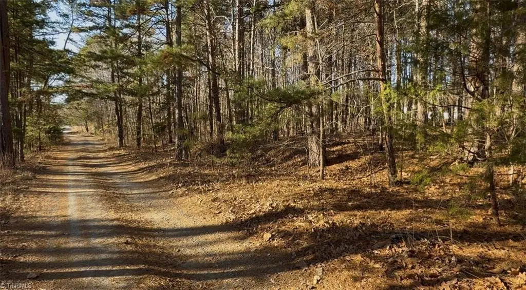 0 First Park Avenue, Randleman, NC 27317 - Image #1