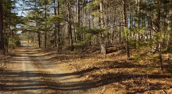 0 First Park Avenue, Randleman, NC 27317