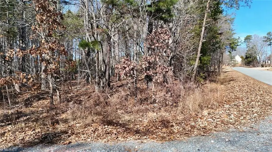 0 First Park Avenue, Randleman, NC 27317 - Image #3