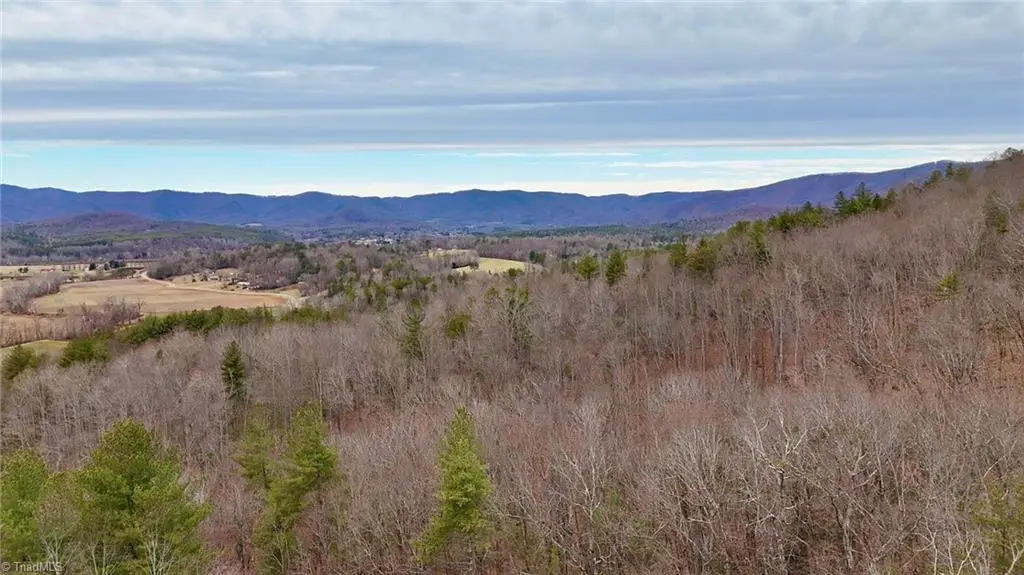 000 Big Rock Lane, Lowgap, NC 27024 - Image #1