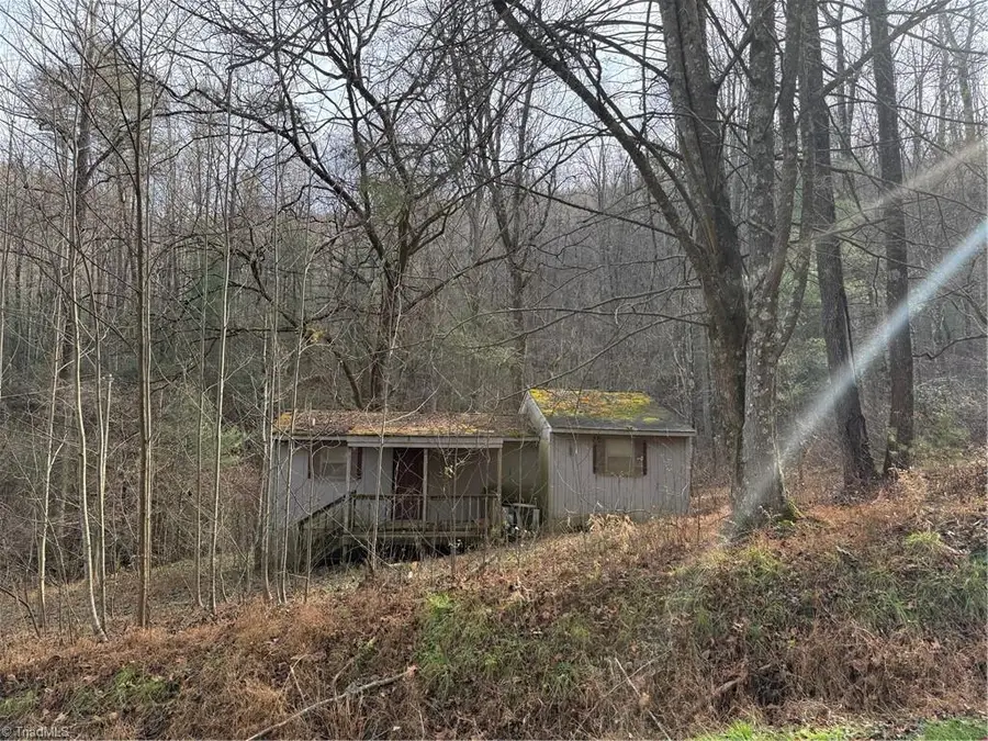 00 Longbottom Road, McGrady, NC 28649 - Image #2