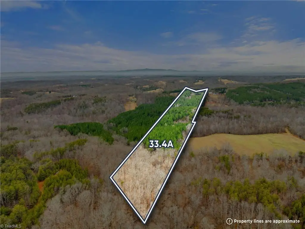 0 Doug Stanley Road, Sandy Ridge, NC 27046 - Image #1