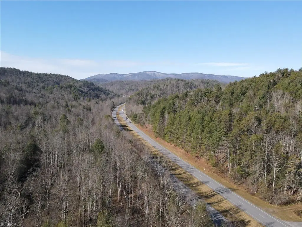 TBD W Us Highway 421, Purlear, NC 28665 - Image #1