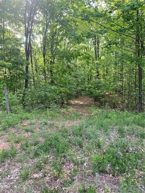 00 Angle Street, Purlear, NC 28665 - Image #1