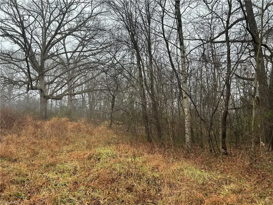 0 Progress Lane, Yadkinville, NC 27055 - Image #3