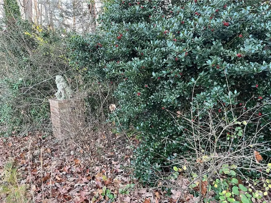 2136 and 0 Vienna Dozier Road, Pfafftown, NC 27040 - Image #2