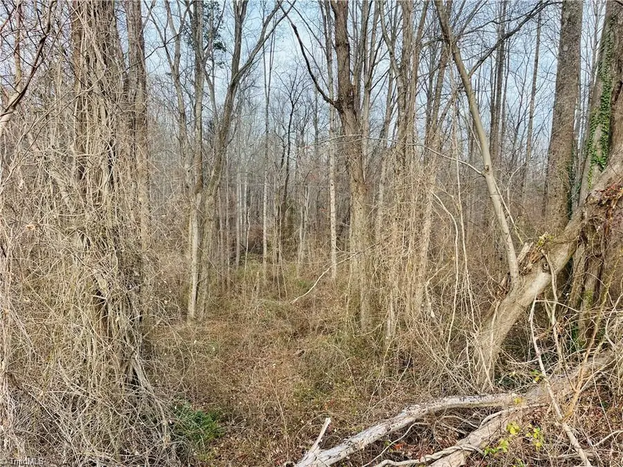 000 Union Hill Road, Thurmond, NC 28683 - Image #3