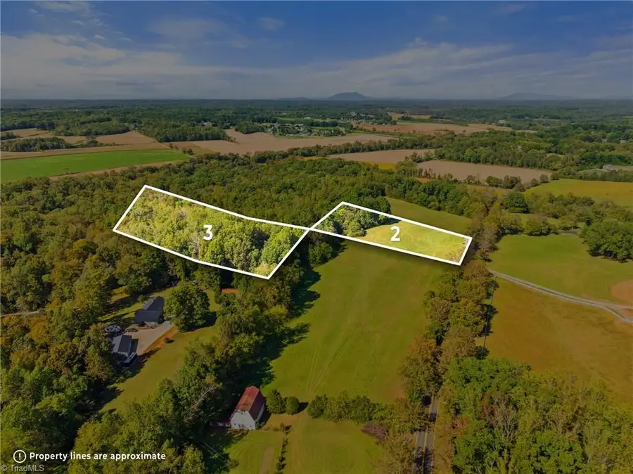 8126 Hilltop Farms Drive, Lewisville, NC 27023 - Image #2