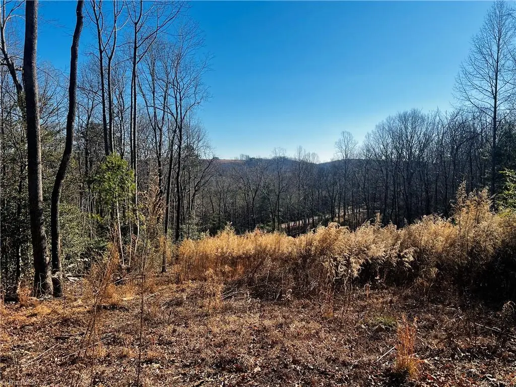 TBD Holly Springs Road, Mount Airy, NC 27030 - Image #1