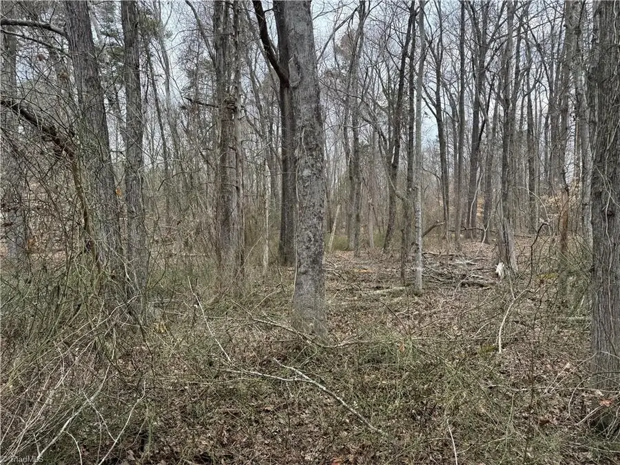 205 Burton Farm Road, Browns Summit, NC 27214 - #2