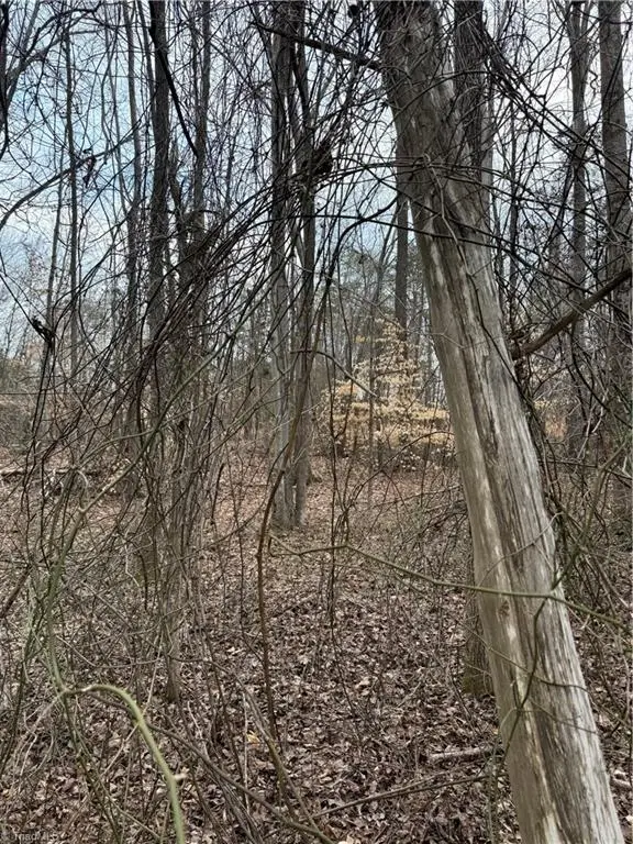 205 Burton Farm Road, Browns Summit, NC 27214 - #3