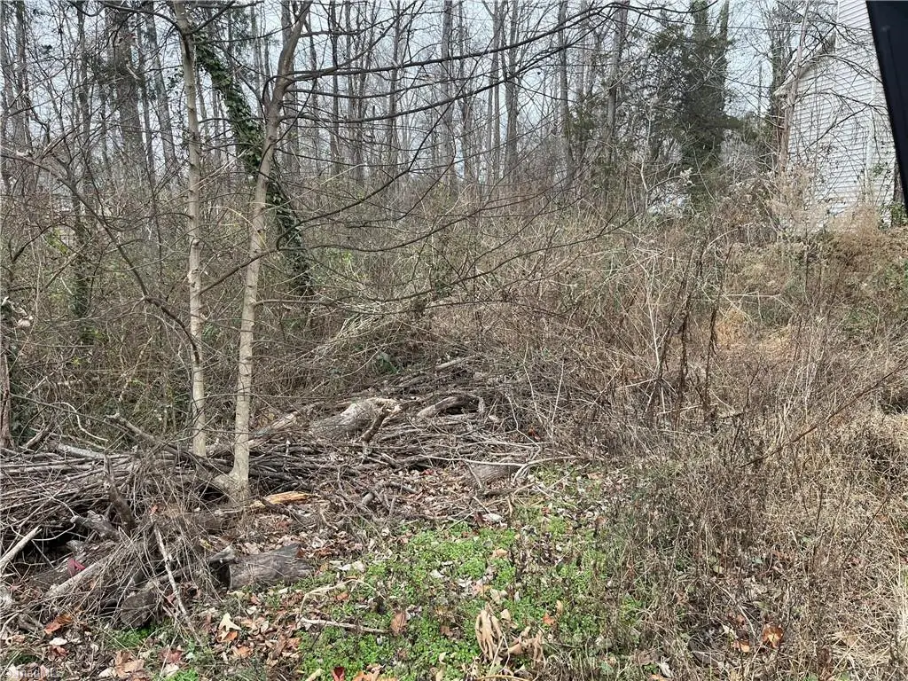 1004 Lashley Park Drive, Gibsonville, NC 27249 - Image #1