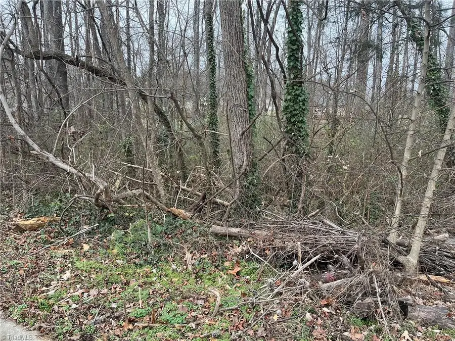 1004 Lashley Park Drive, Gibsonville, NC 27249 - Image #2