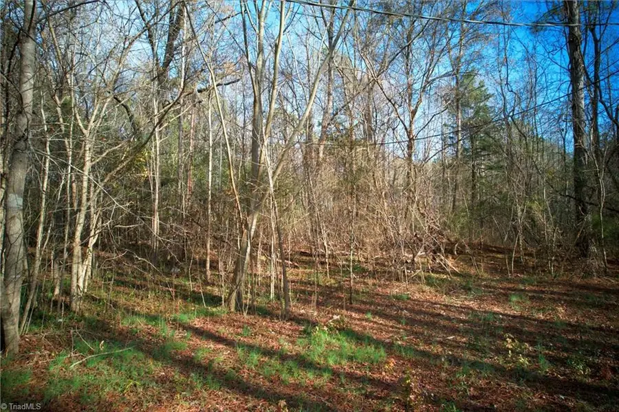 TBD - Lot 23 Glenwood Drive, Jefferson, NC 28640 - Image #3
