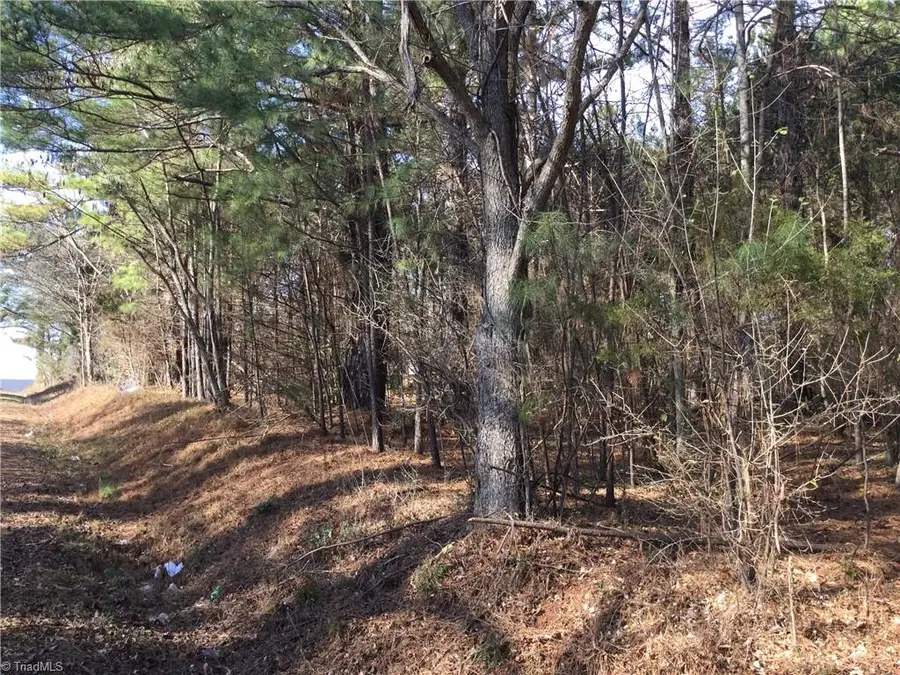 0 Lambert Road, Graham, NC 27253 - Image #2