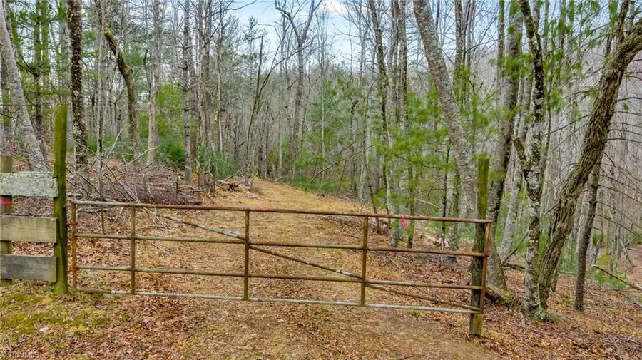 TBD Gentry Hill Lane, Laurel Springs, NC 28644 - Image #2