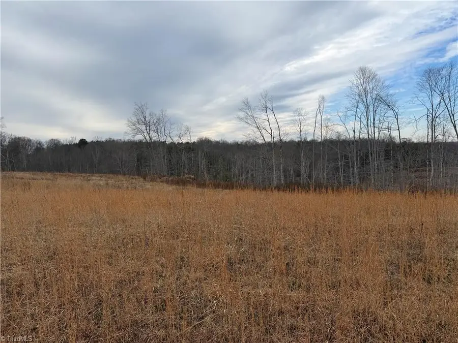 19.25+/- AC Pork Trail, Pinnacle, NC 27043 - Image #2